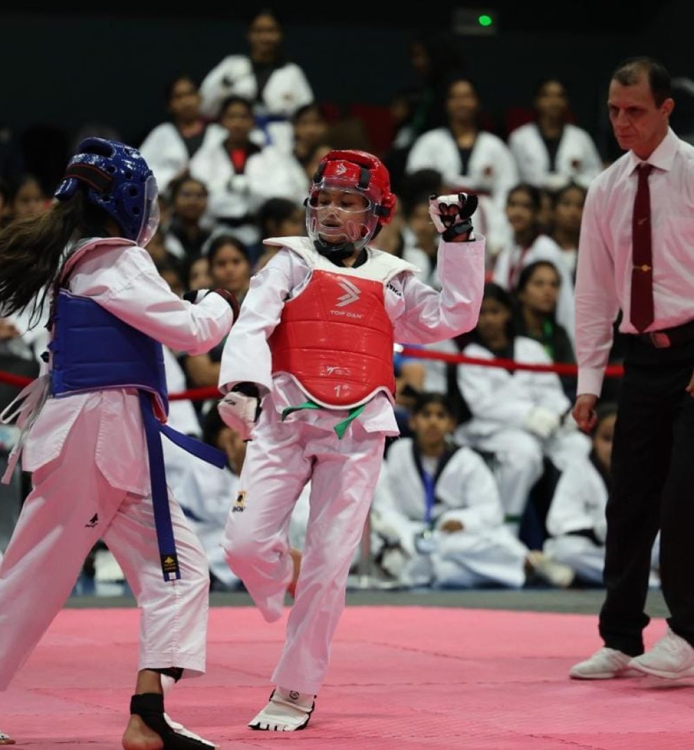 Taekwondo Champions